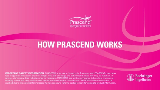 Play Video: Learn More About Prascend From Our Team of Experts