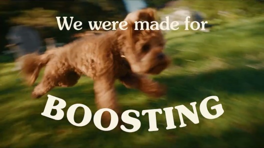 Fera Pets Hip & Joint Soft Chew Dog Supplement