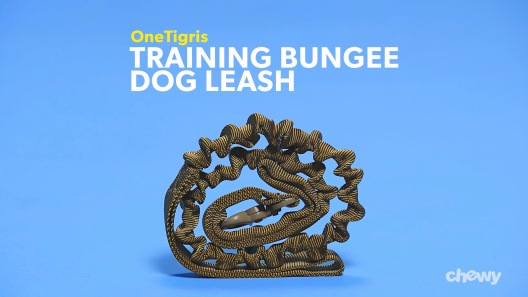 ONETIGRIS Training Nylon Bungee Dog Leash, Tan, 3.875-ft long, 1-in wide 