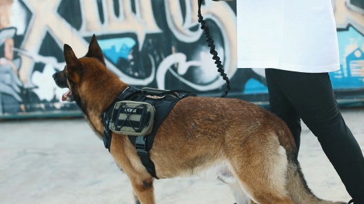OneTigris FIRE WATCHER 2.0 No Pull Dog Harness