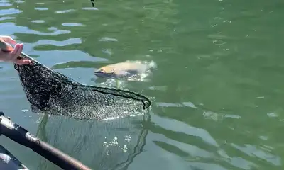 Captain Barry made the day!