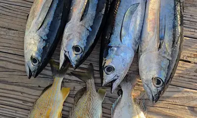 Christmas eve 7 fish 