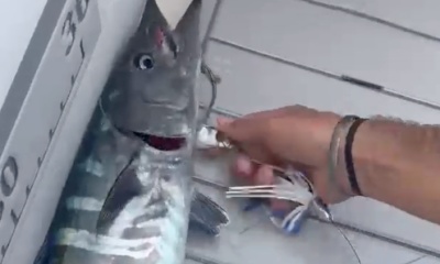 St. Thomas Report Video 0