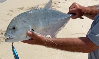 Port Douglas Report Video 0