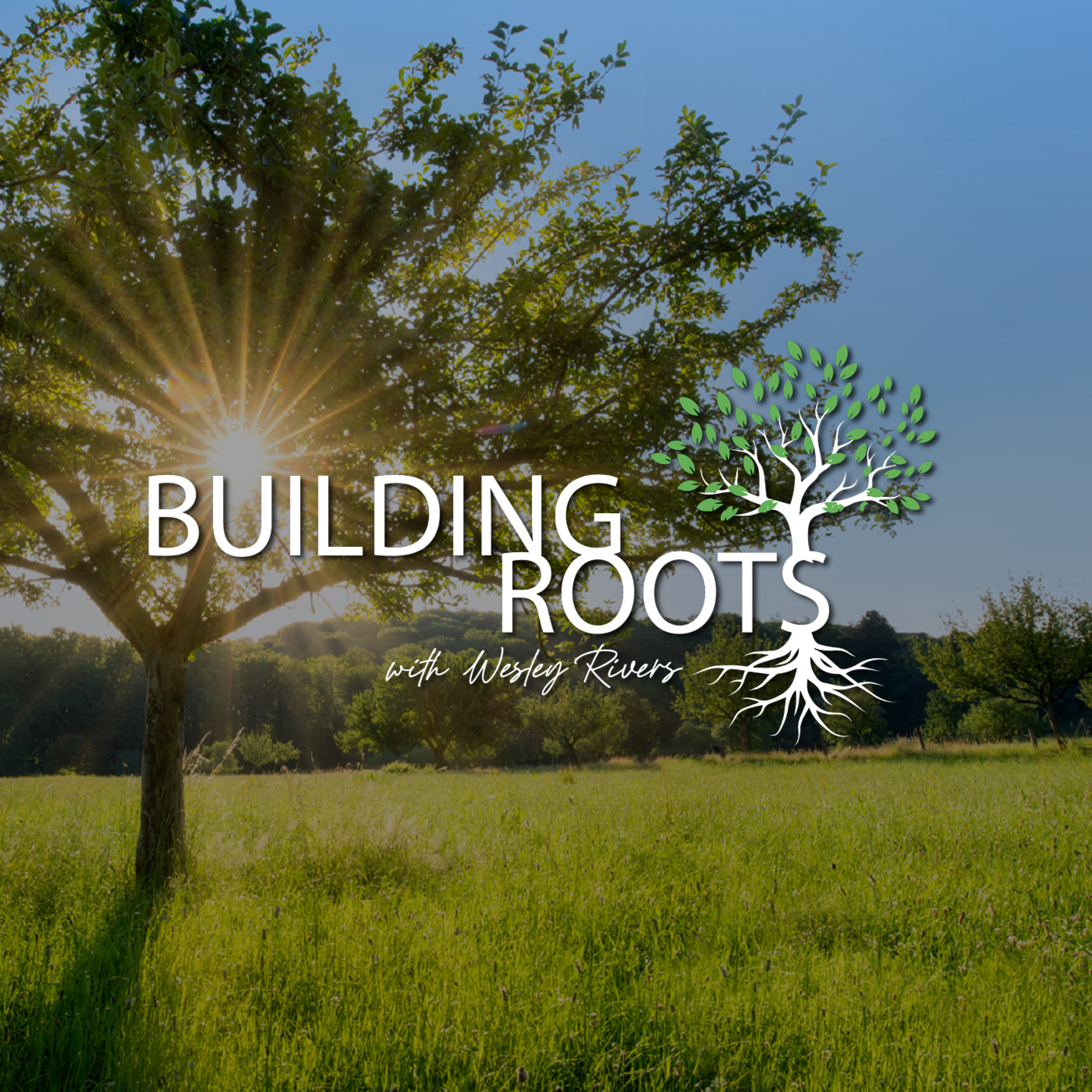 Building Roots