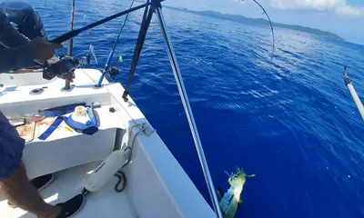 Roatan Report Video 0