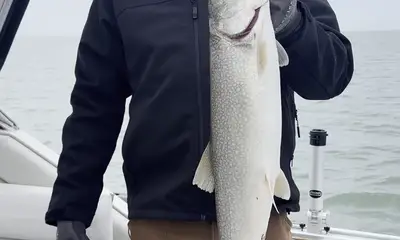 Muskegon Report Video 0