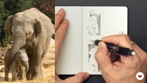 Lesson image