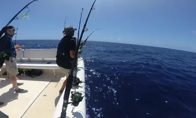 Cole Bay Report Video 0