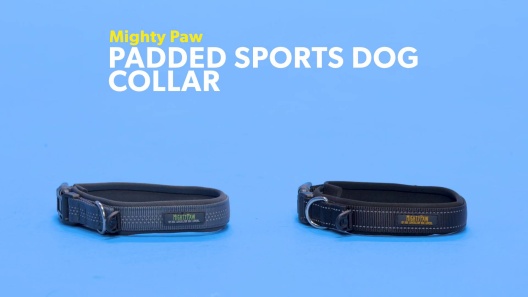 Discontinued - MIGHTY PAW Padded Sports Dog Collar, Grey, Large - Chewy.com