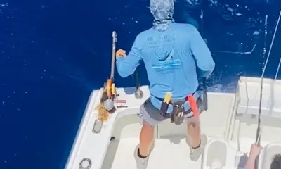 Bermuda Report Video 1