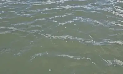 Murrells Inlet Report Video 0