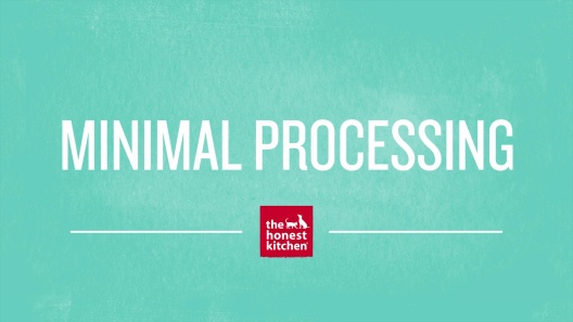 The Honest Kitchen Turkey Recipe Grain-Free Dehydrated Dog Food