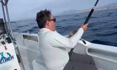 San Jose del Cabo Bericht Video 0