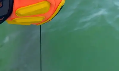 Best Shark Guides At The Beach