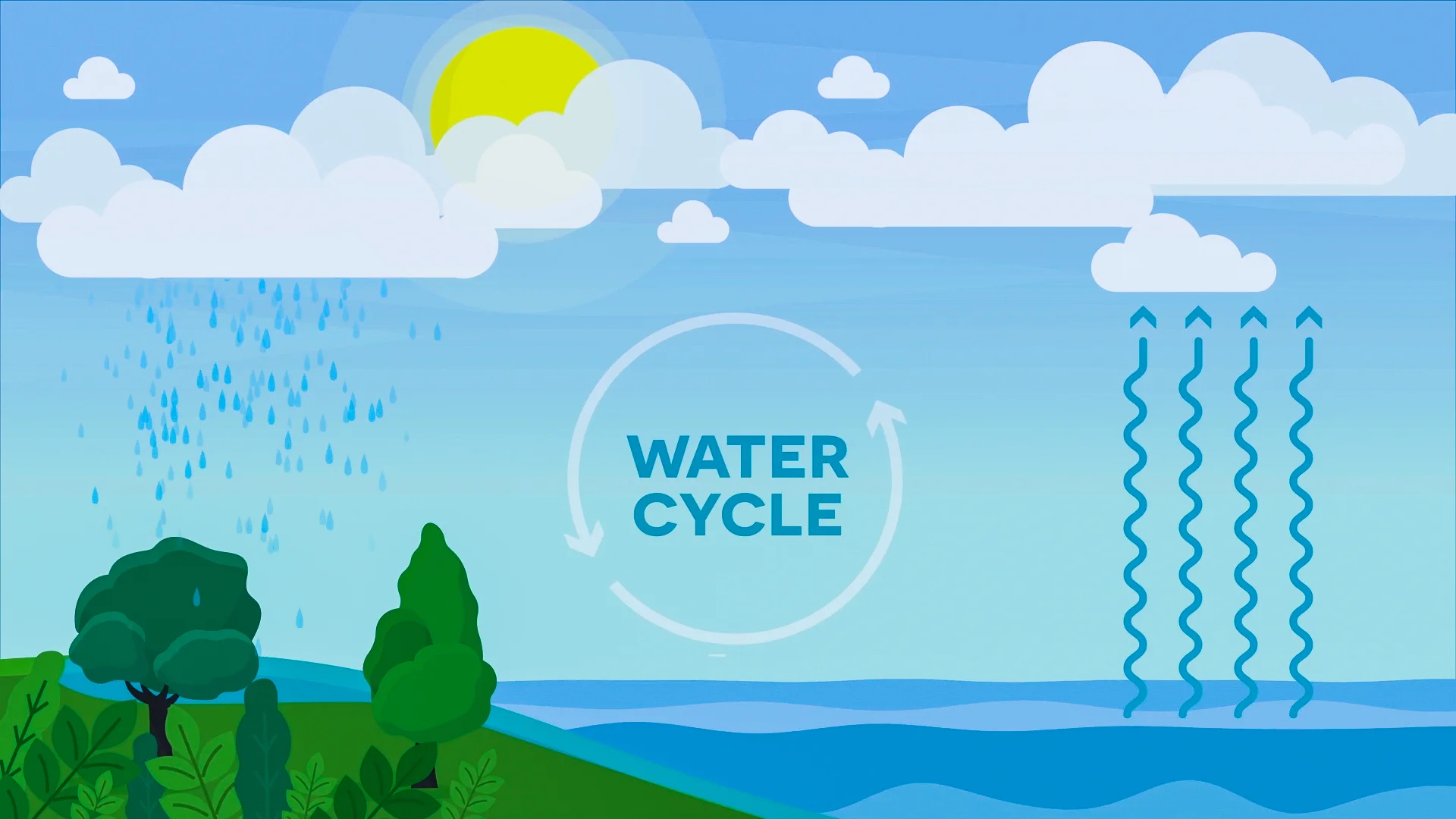 How to draw a water cycle easy step by step, Water cycle diagram drawing  for beginners - YouTube