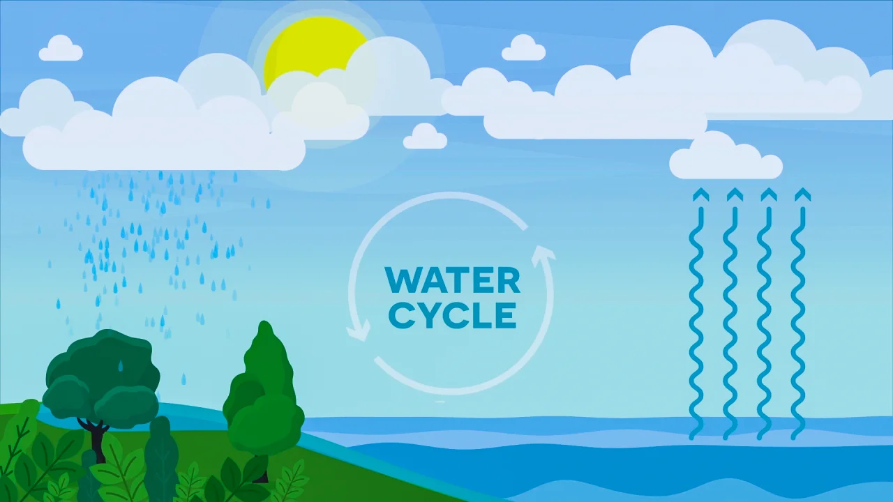 Water Cycle (3-5 Version) Video For Kids | 3rd, 4th & 5th Grade