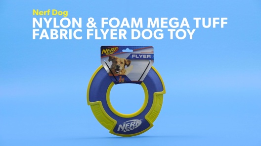 Play Video: Learn More About Nerf Dog From Our Team of Experts