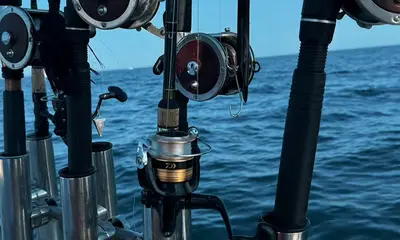 Catching not just fishing 