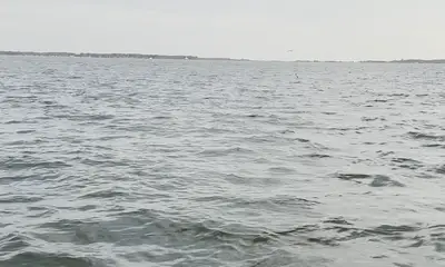 Nanticoke Report Video 0