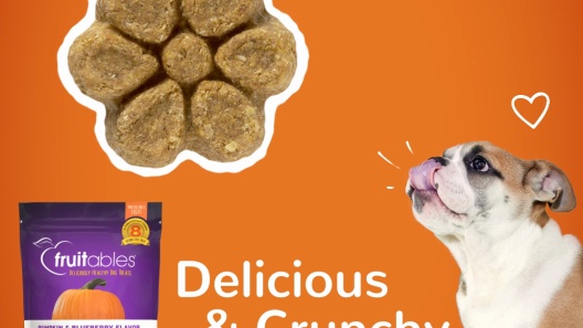 Fruitables Pumpkin & Blueberry Flavor Dog Treats