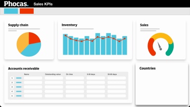 Add visualizations to track key metrics such as EBIT, margins and ratios that update automatically