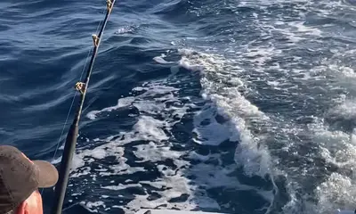 Boynton Beach Report Video 0