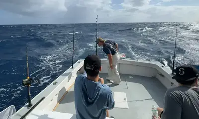 Father\/Son team is top notch!!!!