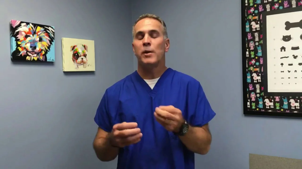 Is It Better To Let Your Dog Have A Litter