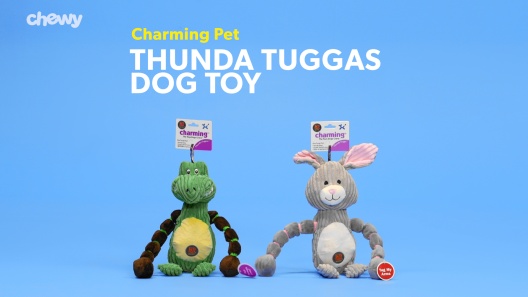 CHARMING PET Thunda Tugga Bunny Squeaky Plush Dog Toy - Chewy.com