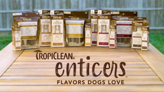 Play Video: Learn More About TropiClean From Our Team of Experts