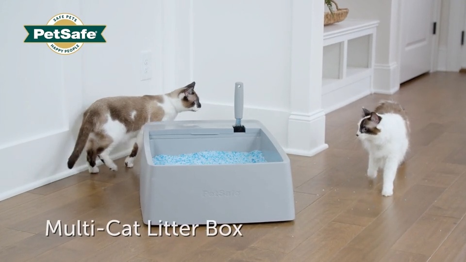 Petsafe kitty litter outlet box