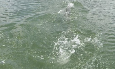 August fishing trip