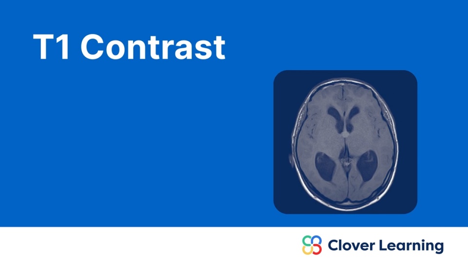 T1 Contrast | Video Lesson | Clover Learning