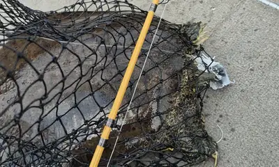 Minneapolis Report Video 1