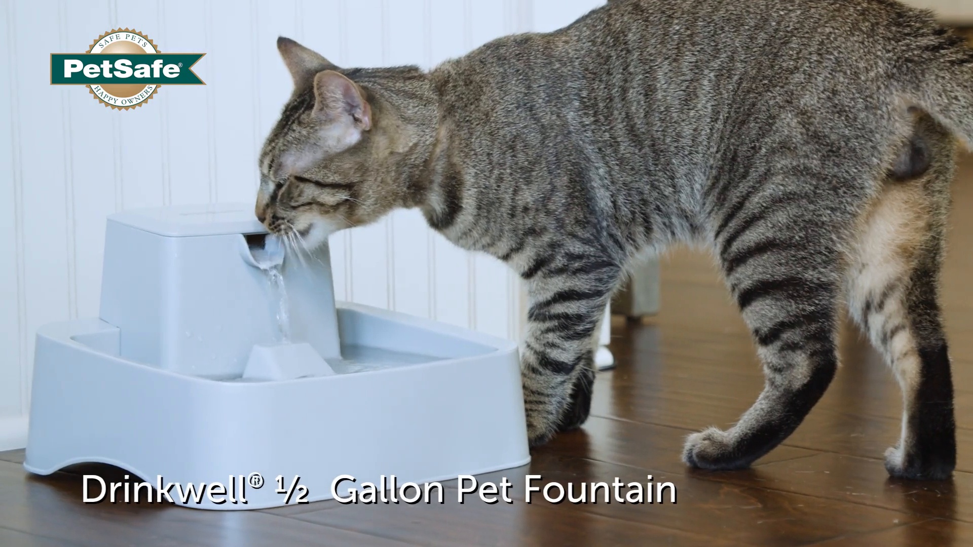 Drinkwell 2 outlet gallon pet fountain