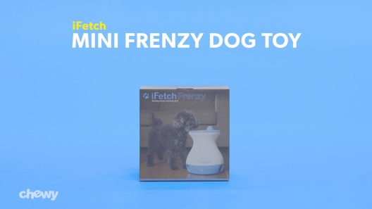 Ifetch Mini Frenzy Dog Toy Chewy Com