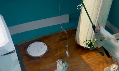 The Captain put us on some Fish!!!!!!