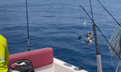 Fujairah Report Video 2