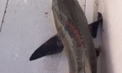 great time with Torre