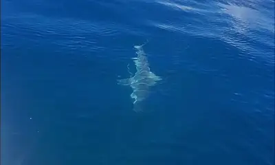 North Myrtle Beach Report Video 1