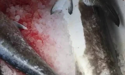 Jensen Beach Report Video 1