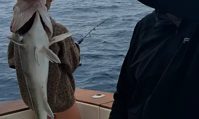 Dana Point Report Video 1