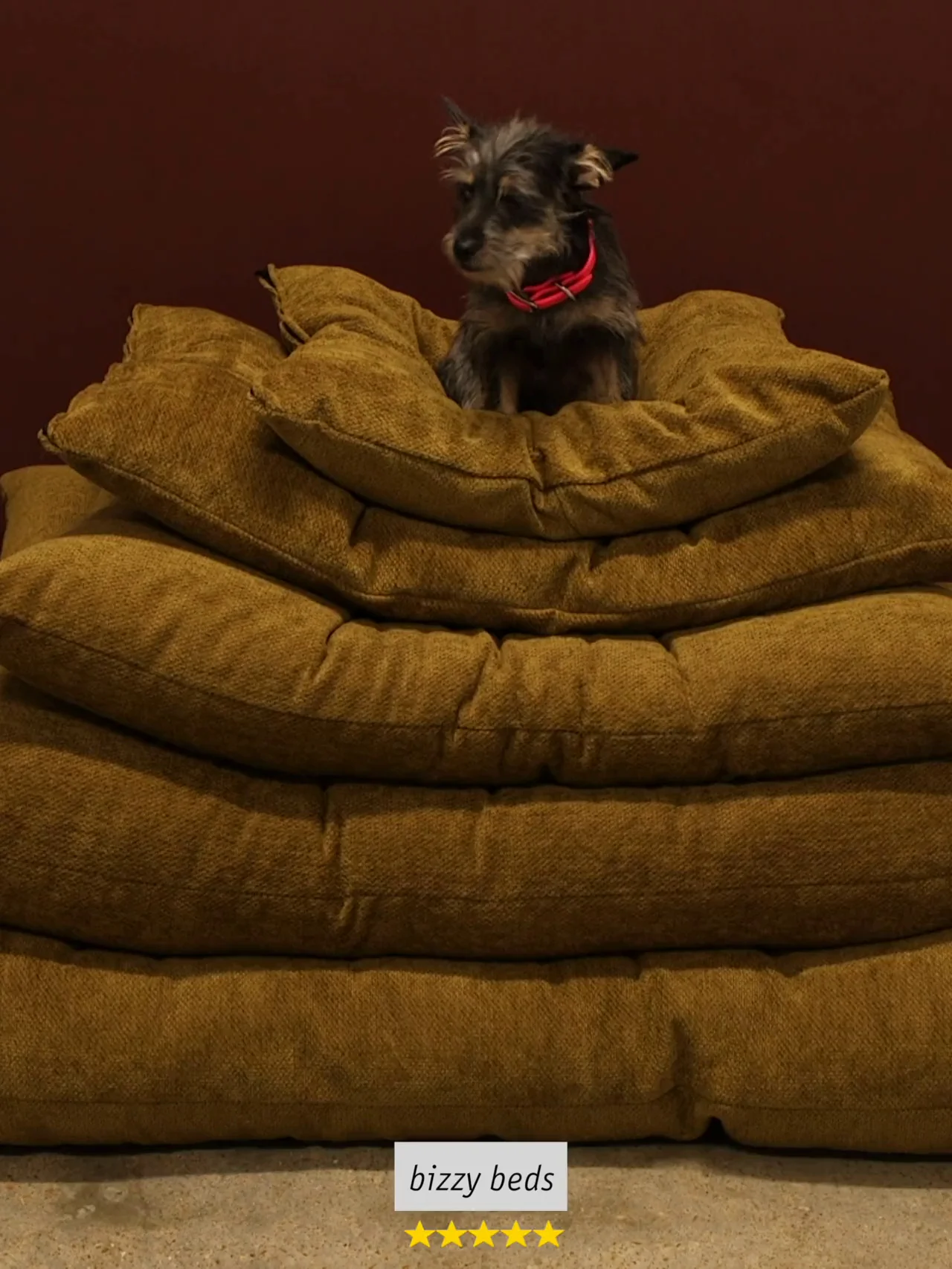 sachin and babi light blue dress Tucker Murphy Pet Elevated Dog Bed  Large Raised Bed with Mattress &  Frame, Modern Style, Durable for Large Dogs - Aerin & Reviews