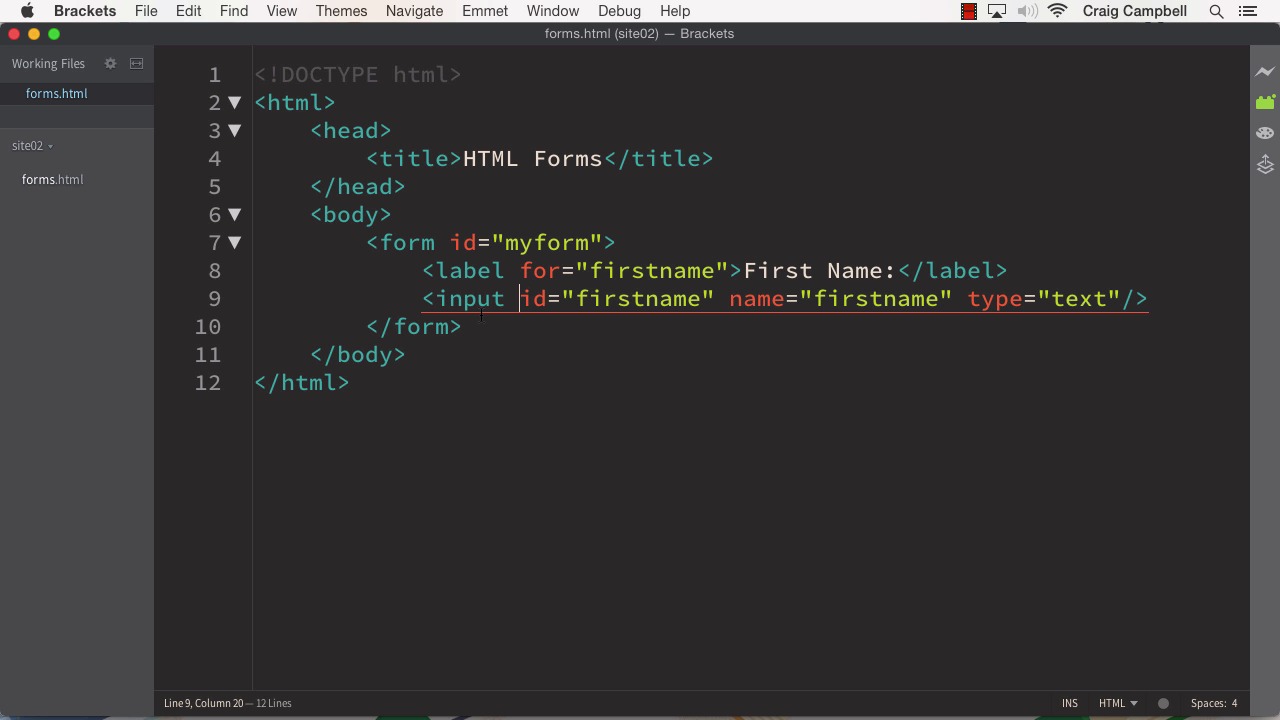 Solid HTML Form Structure - Text Inputs and Labels