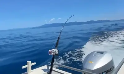 North Queensland Report Video 0