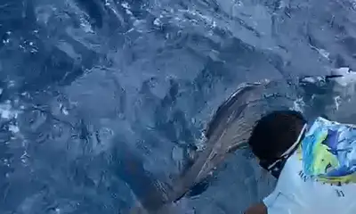 Mexico Report Video 1