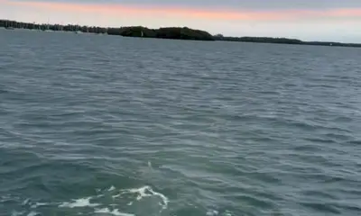 Miami-Dade County Report Video 3