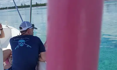  Experience an Unforgettable Snorkeling