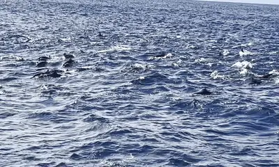 Golfito Report Video 1